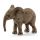 Figurka Młody Słoń Afrykański Schleich