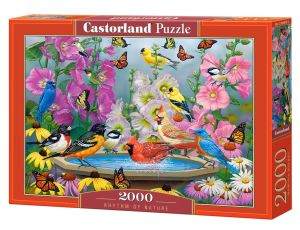 Puzzle Ptaki Rytm Natury Castorland 2000el