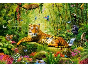 Puzzle Majestatyczny Tygrys Castorland 500el - image 2
