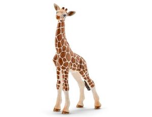 Figurka Młoda Żyrafa Schleich