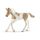 Figurka Koń Paint Horse Foal Schleich