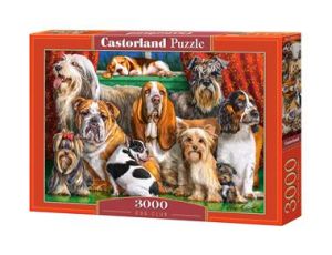 Puzzle Klub Psa Castorland 3000el