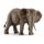 Figurka Samica Słonia Afrykańskiego Schleich